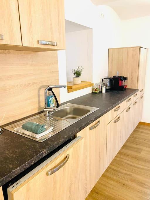 Terrassenwohnung Mit Donaublick * Obernzell