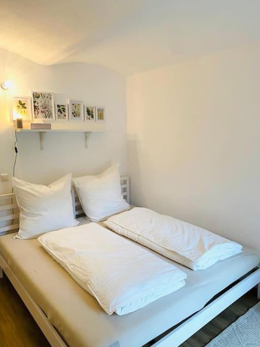 Terrassenwohnung Mit Donaublick Appartement
